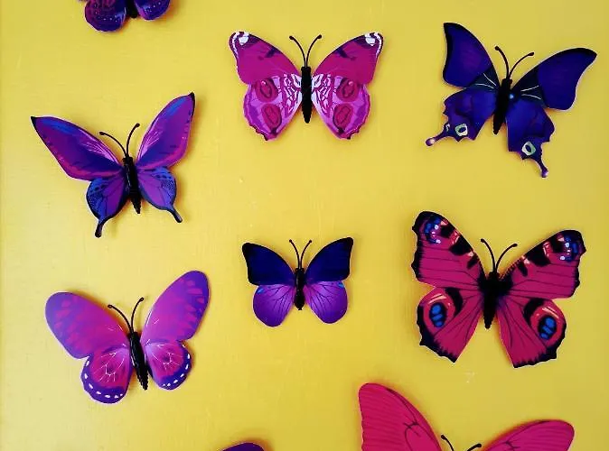 Adria - Colazione Fino Alle 12 3* Misano Adriatico