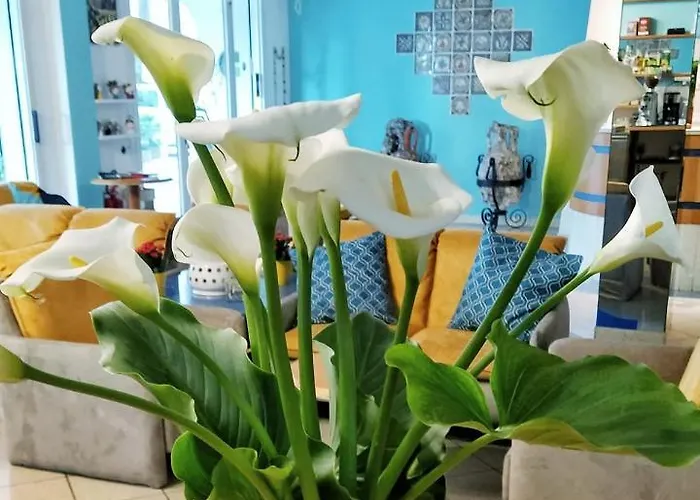 Adria - Colazione Fino Alle 12 Hotell Misano Adriatico